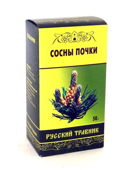 Сосна (почки)