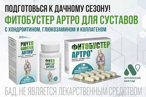 БАД Фитобустер АРТРО